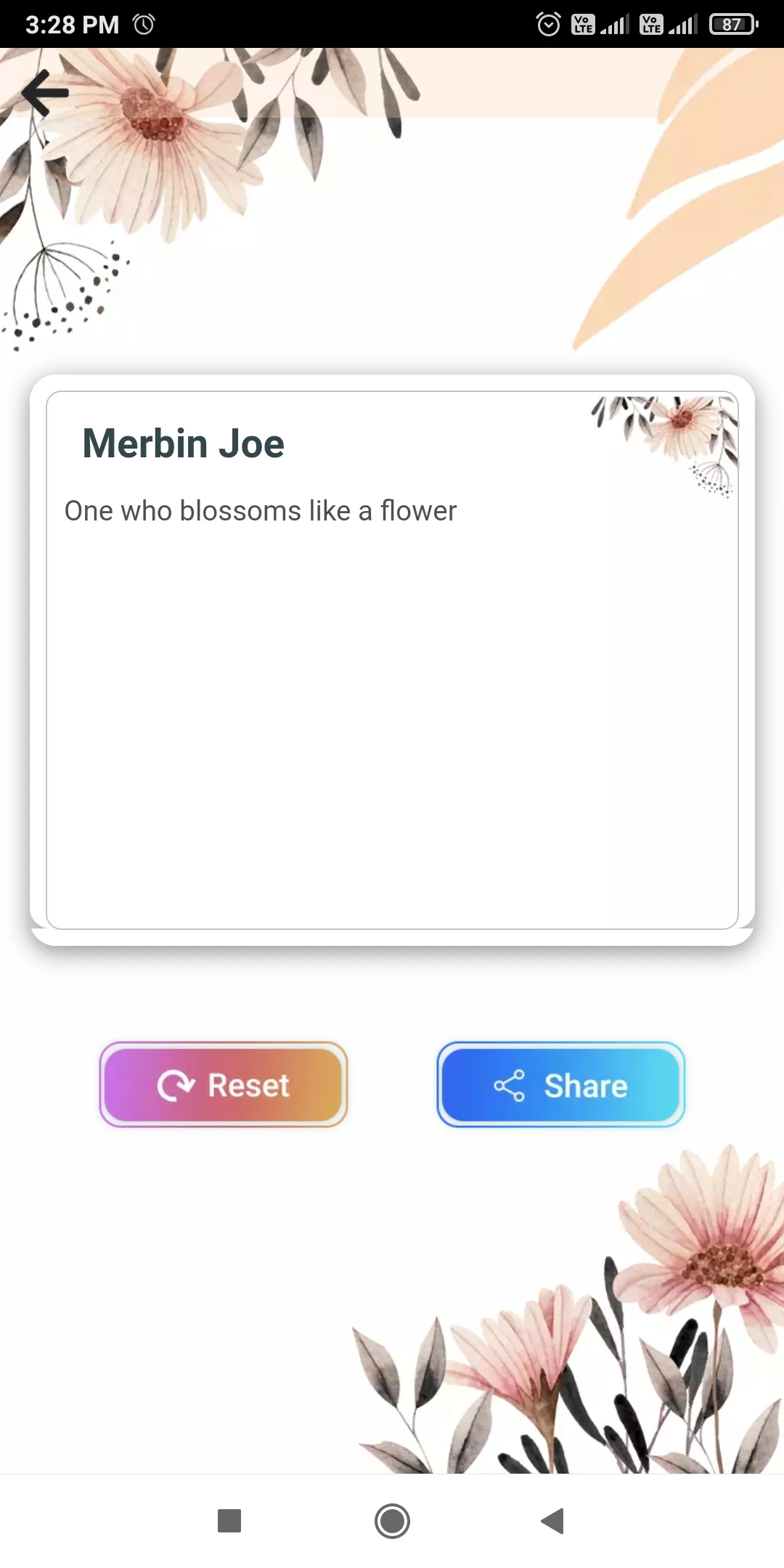 What is my name meaning screenshot