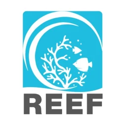 REEF