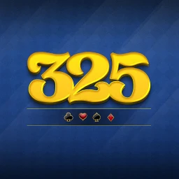 Ícone de 325 card games offline | 235