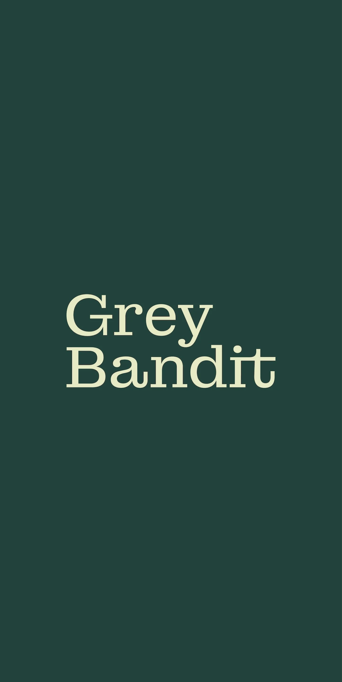Grey Bandit screenshot