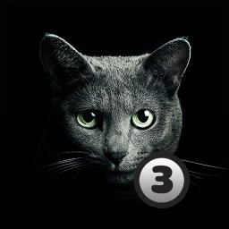 أيقونة Найди кота 3