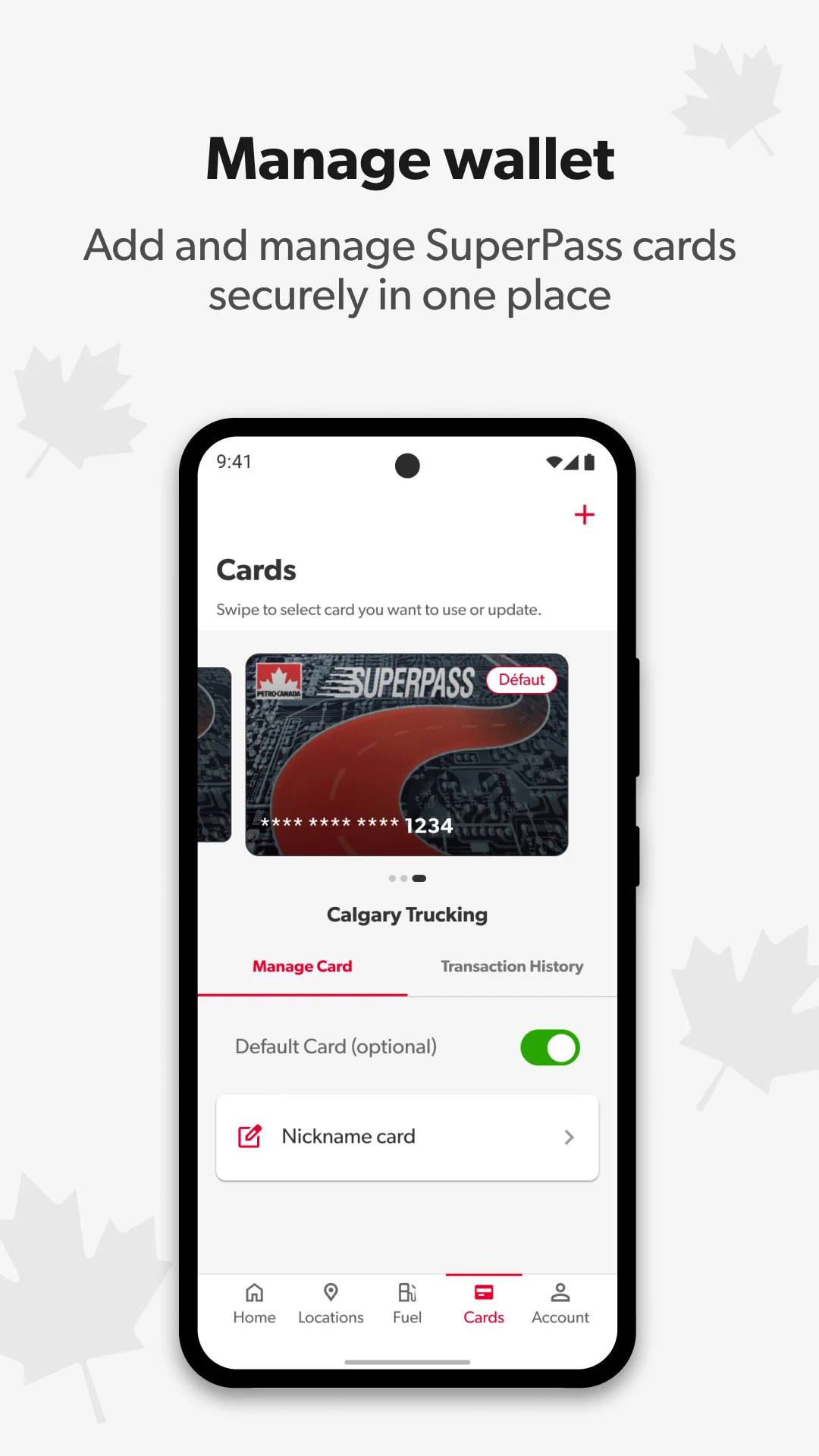 PETRO-PASS screenshot