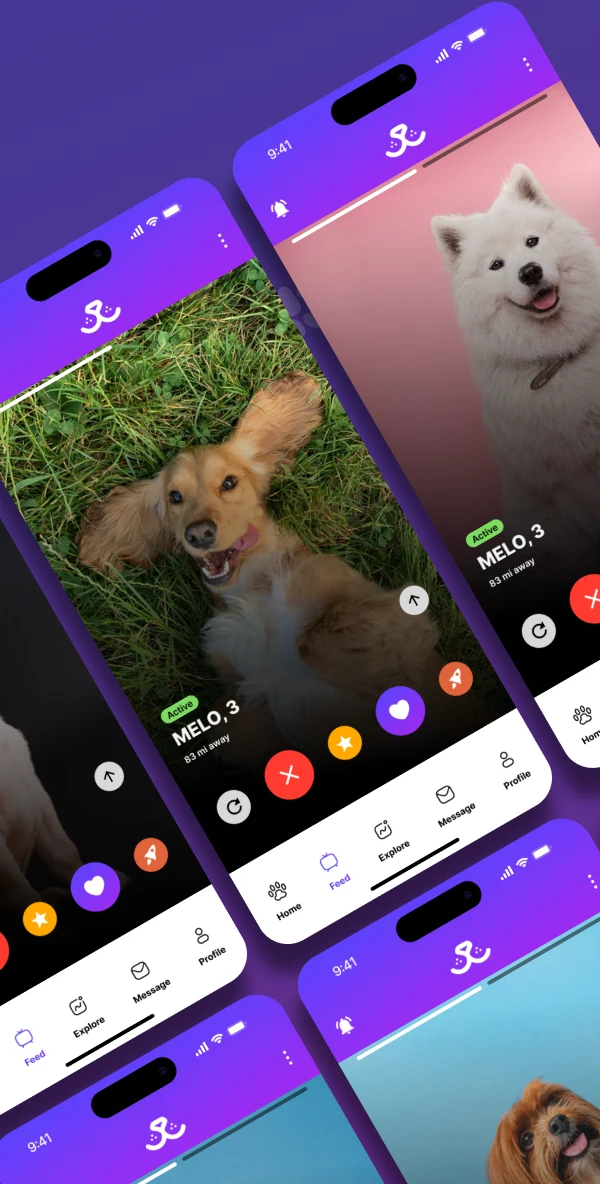 Paw Play Love screenshot