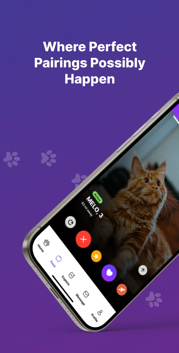 Paw Play Love screenshot
