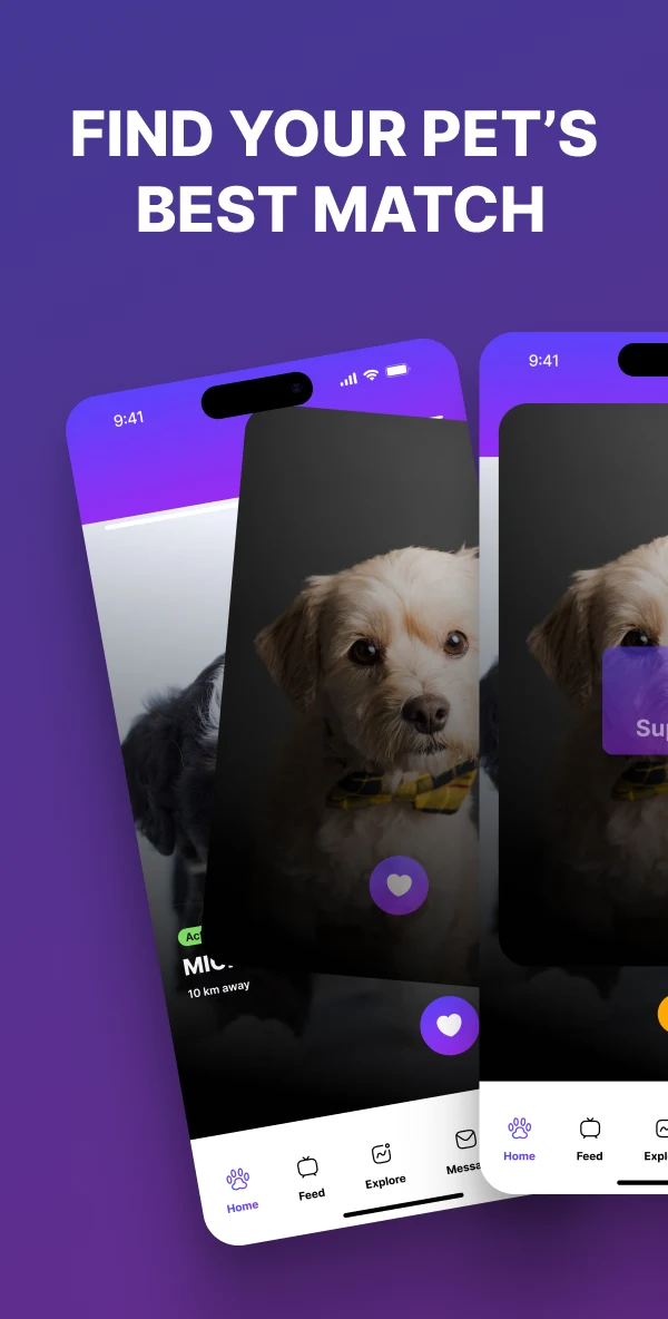 Paw Play Love screenshot