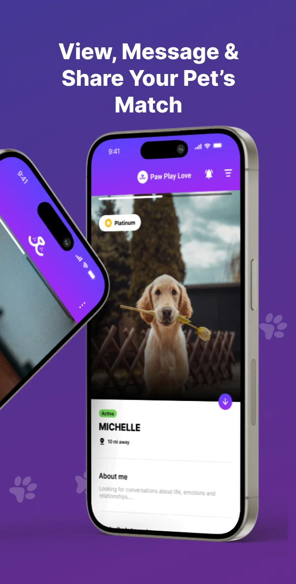 Paw Play Love screenshot